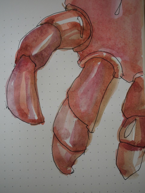the claw, the claw the claw, the claw